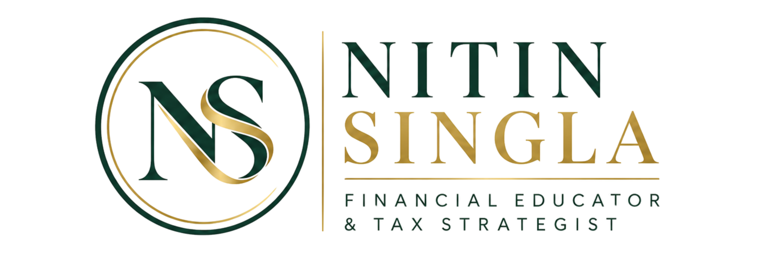 website logo ns